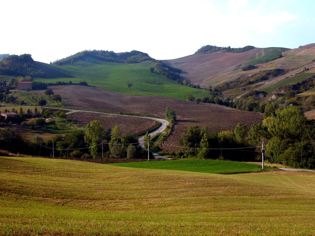Colors in the hills of the Marche
