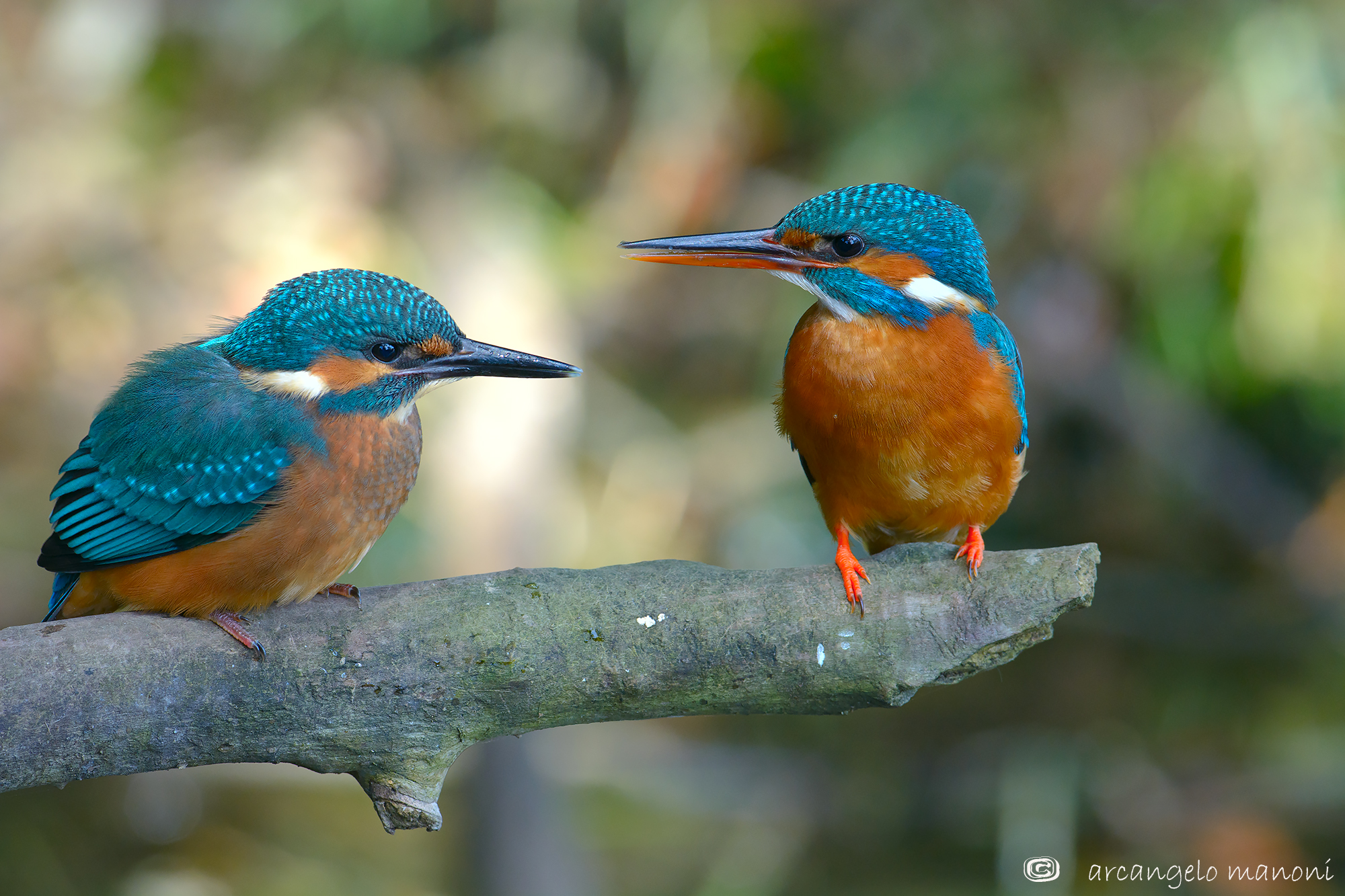 Mi raccomando bimbo stai bene attento a come si pesca!!