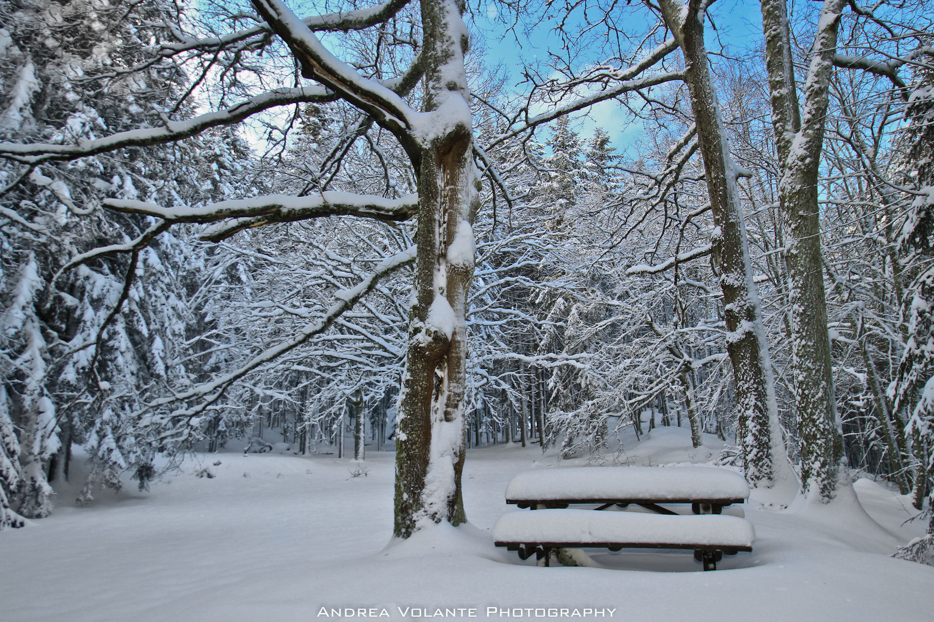 ..the table of dreams.