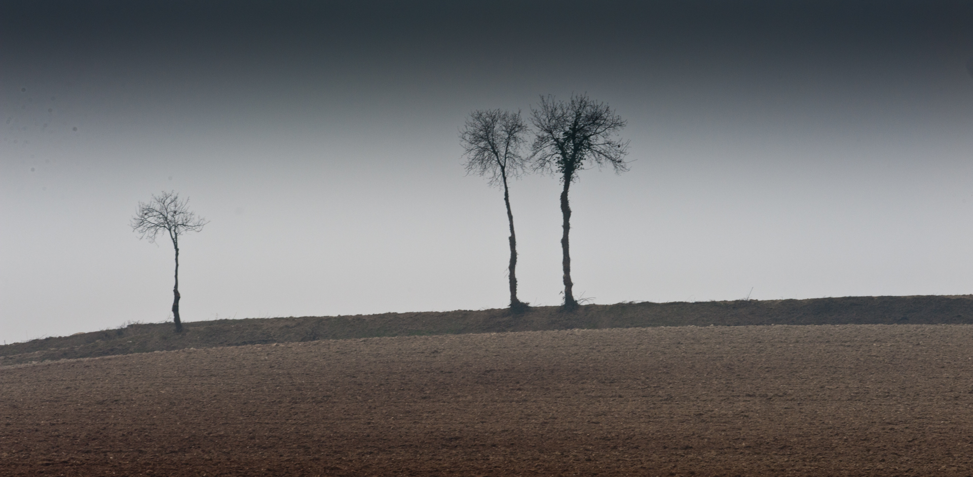 Minimal winter landscape