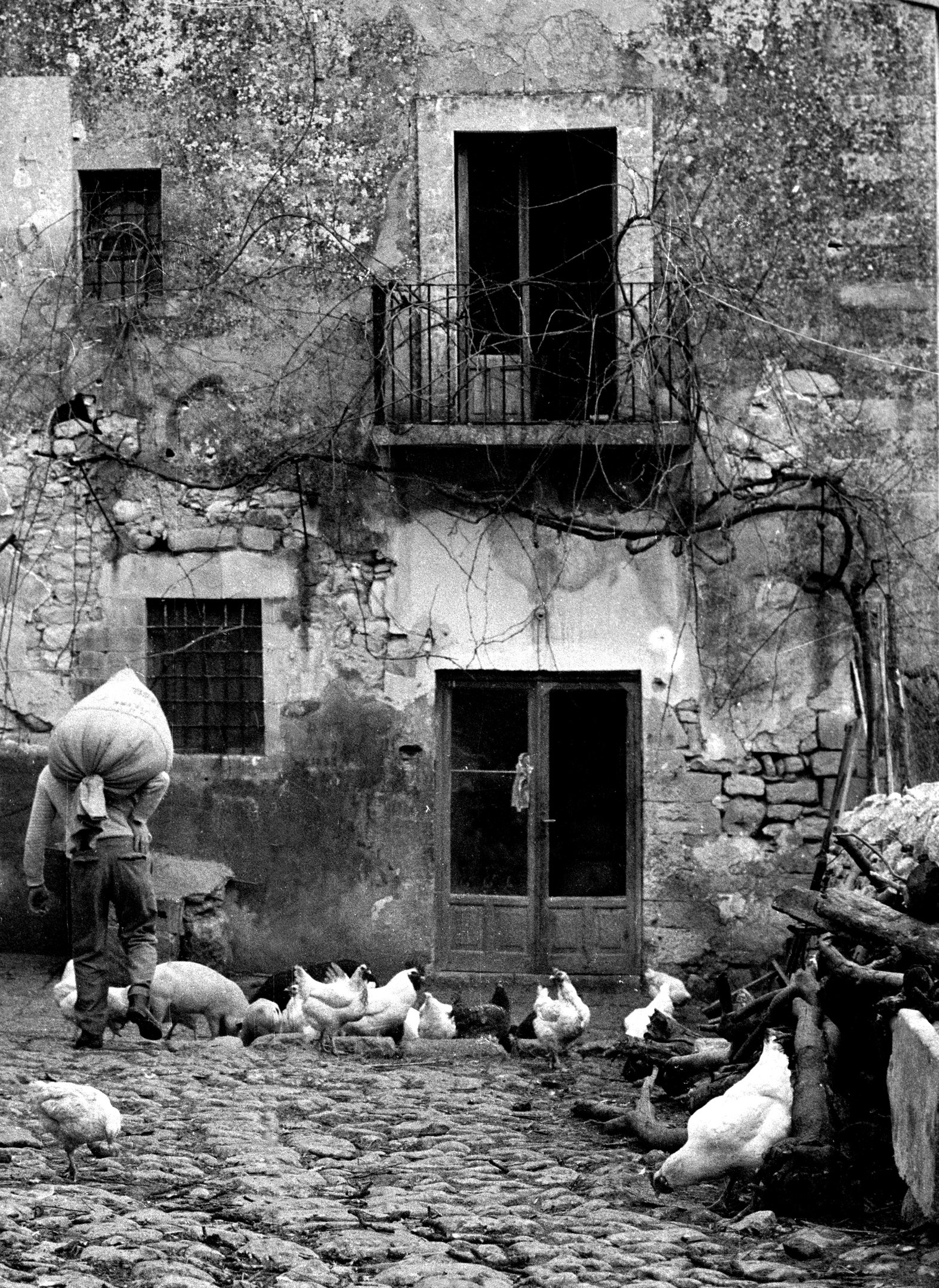 L'ultimo mulino ad acqua
