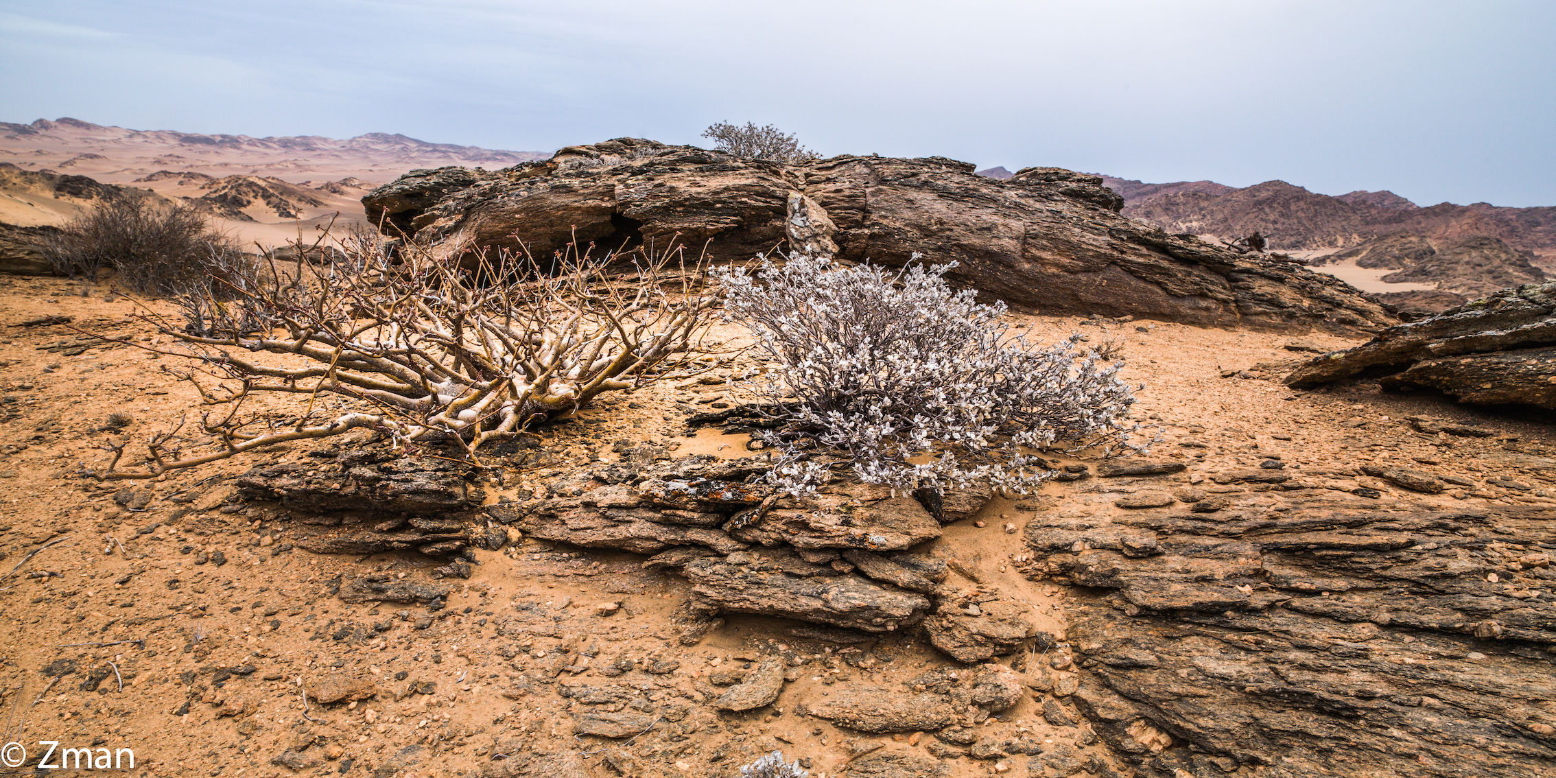 Namibia Wilderness