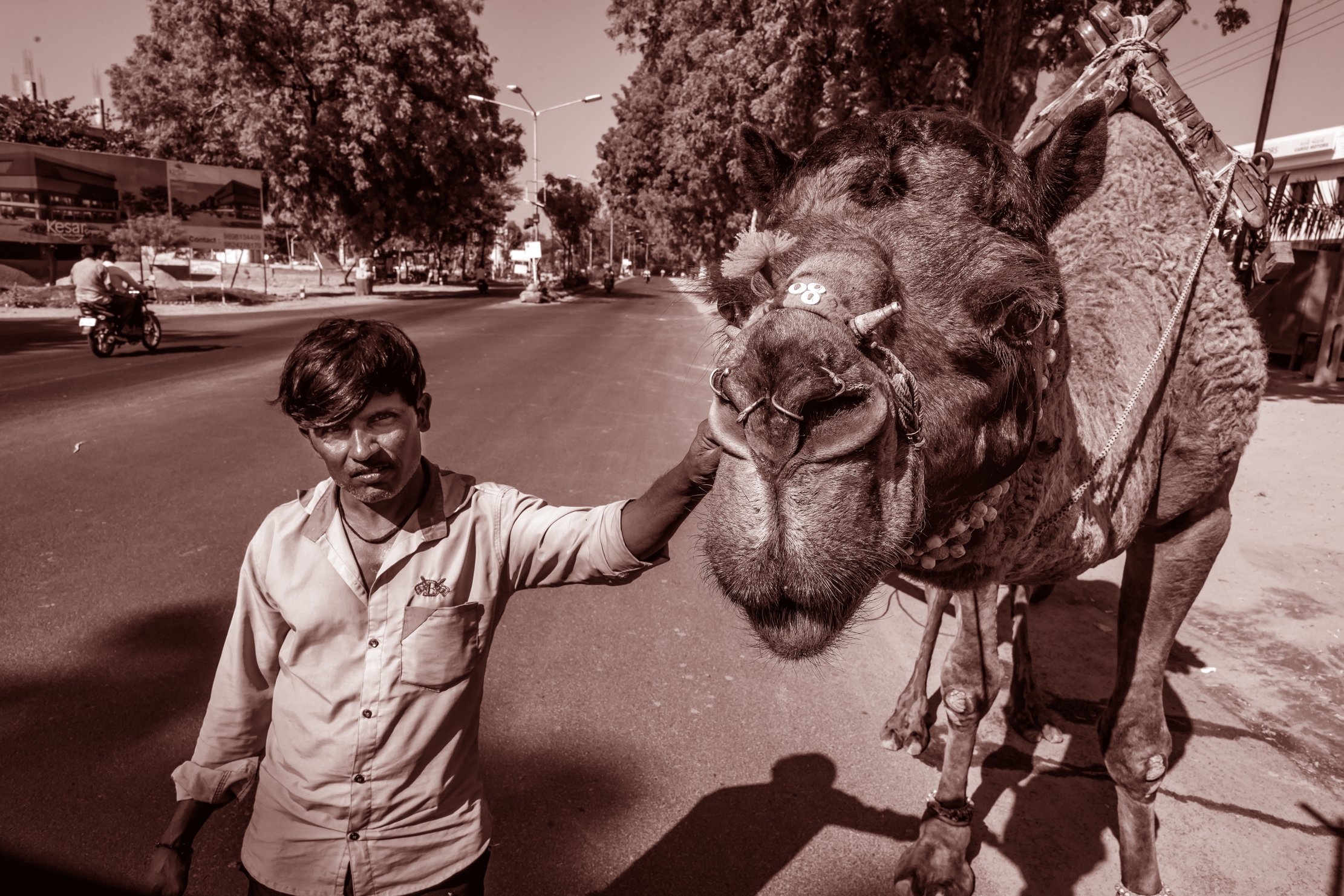 Gujarat 2015 - Per la strada