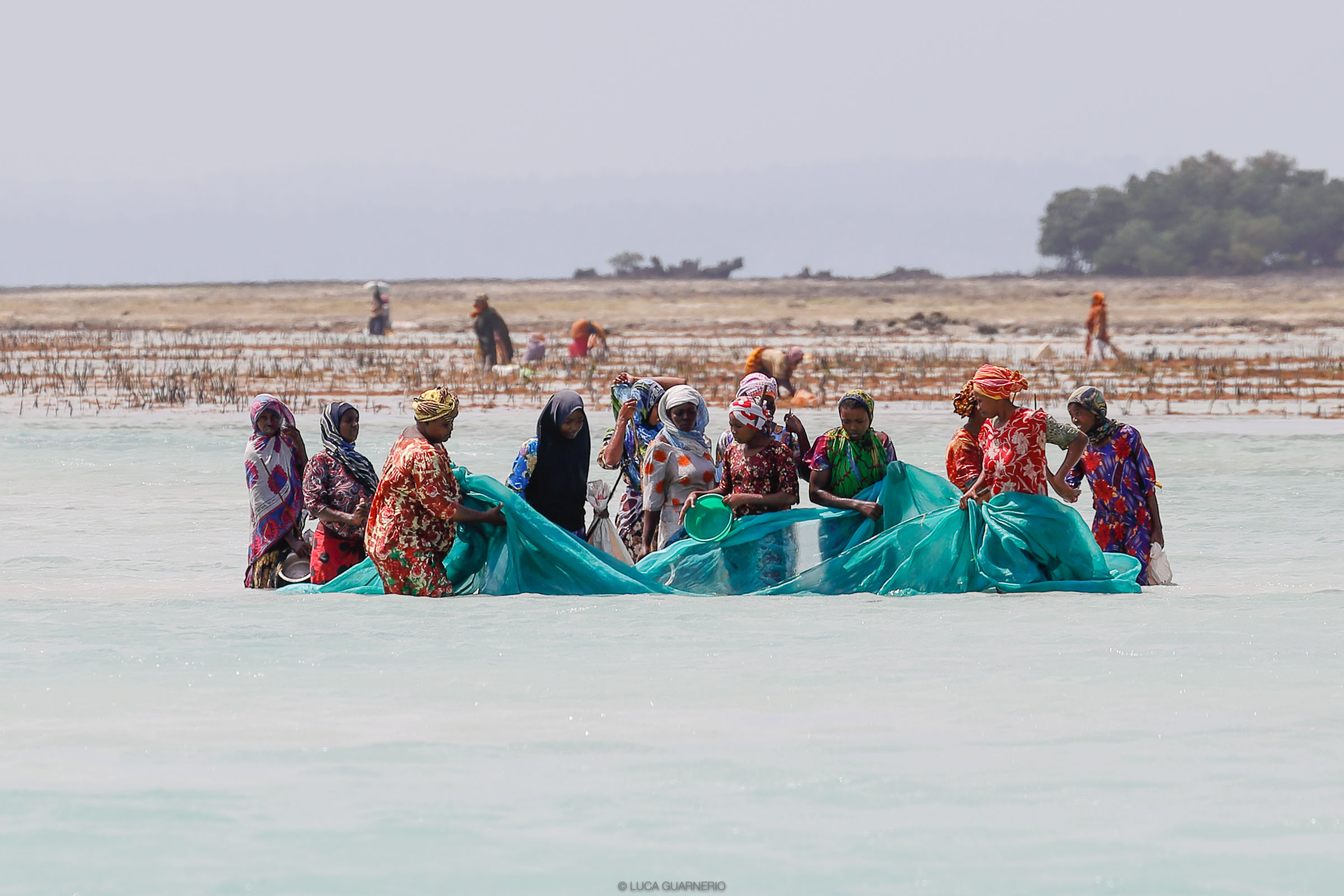 imprigionare i pesci nella rete durante la bassa marea