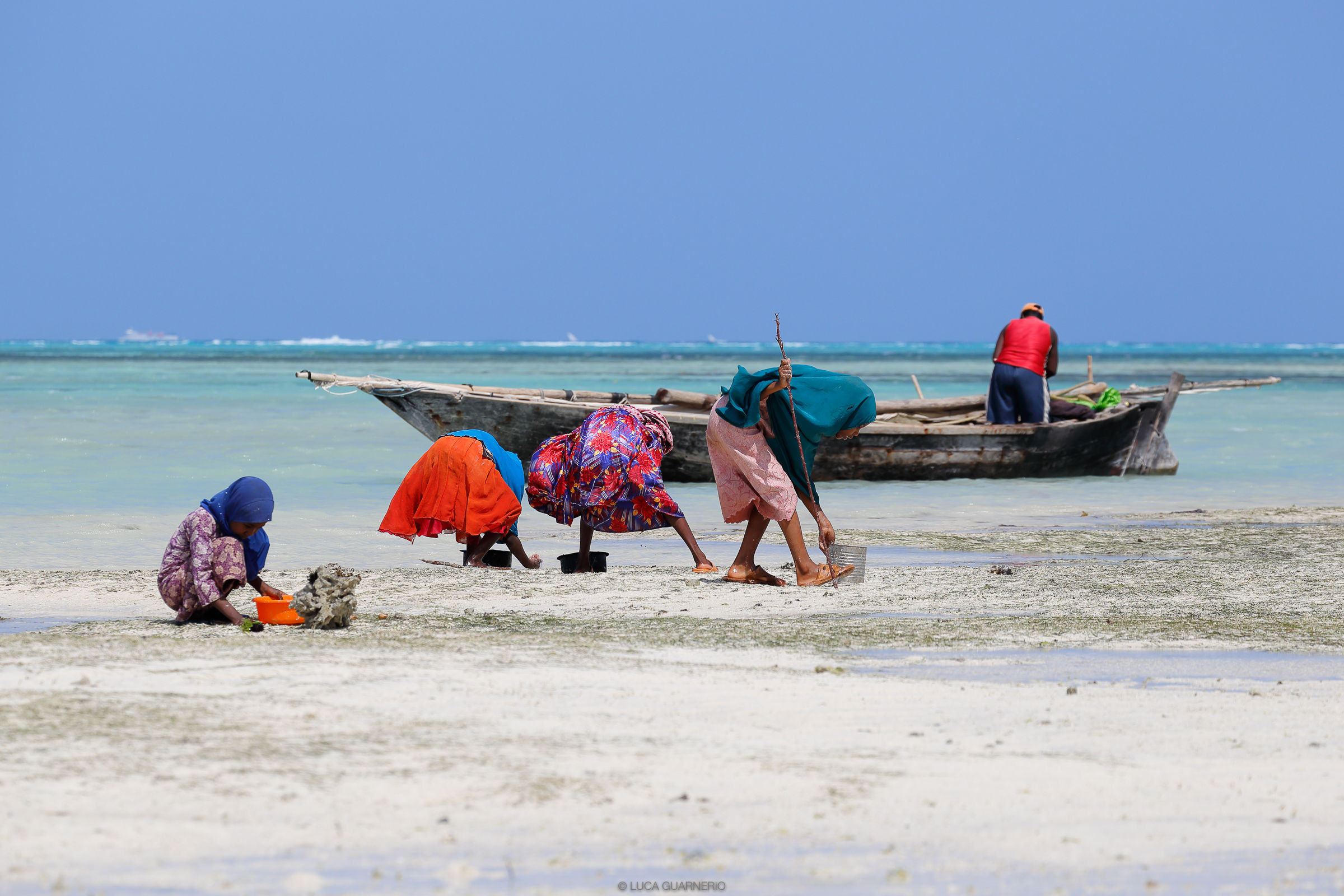 Raccolta telline a Zanzibar