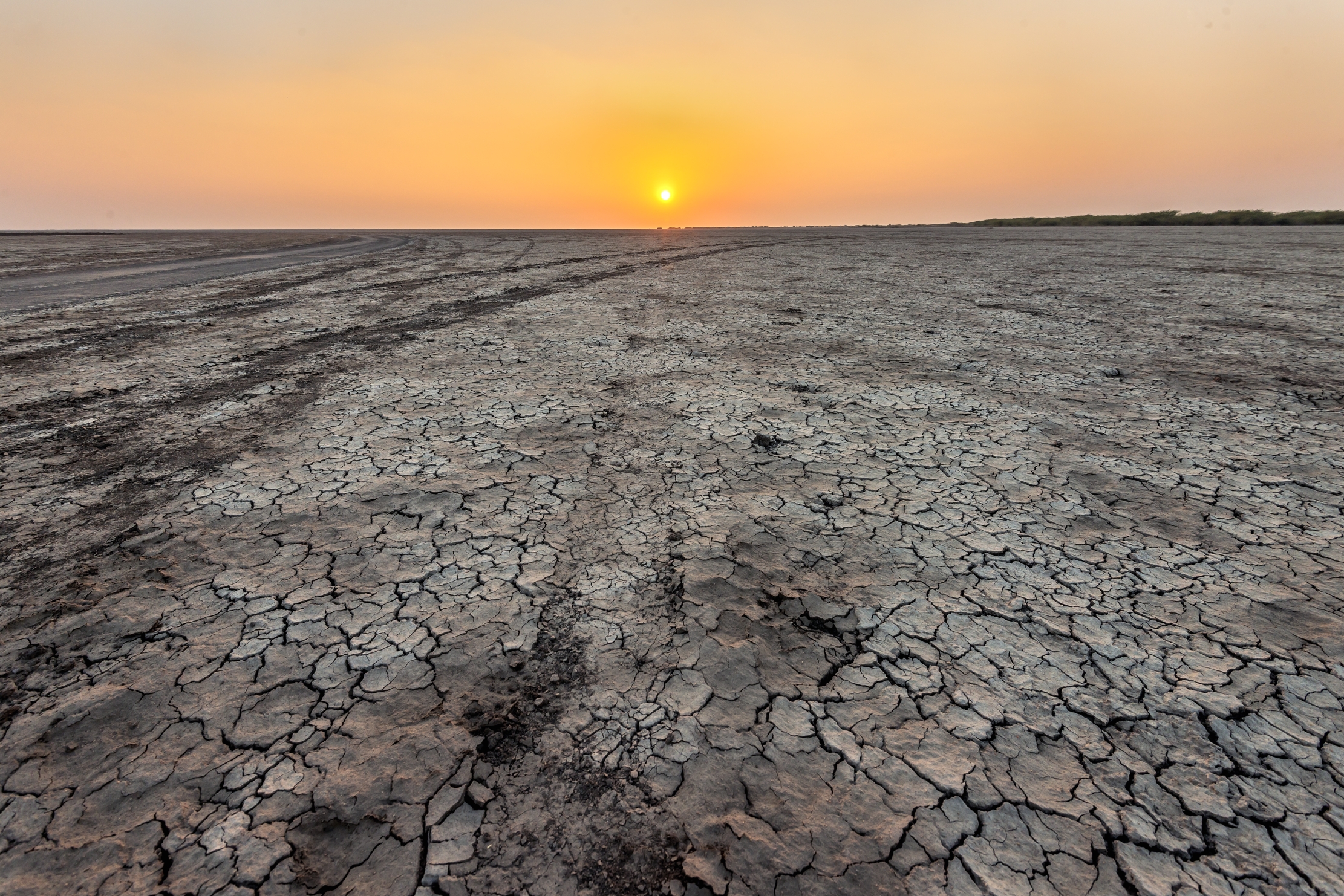 Gujarat 2015 - Tramonto sul deserto