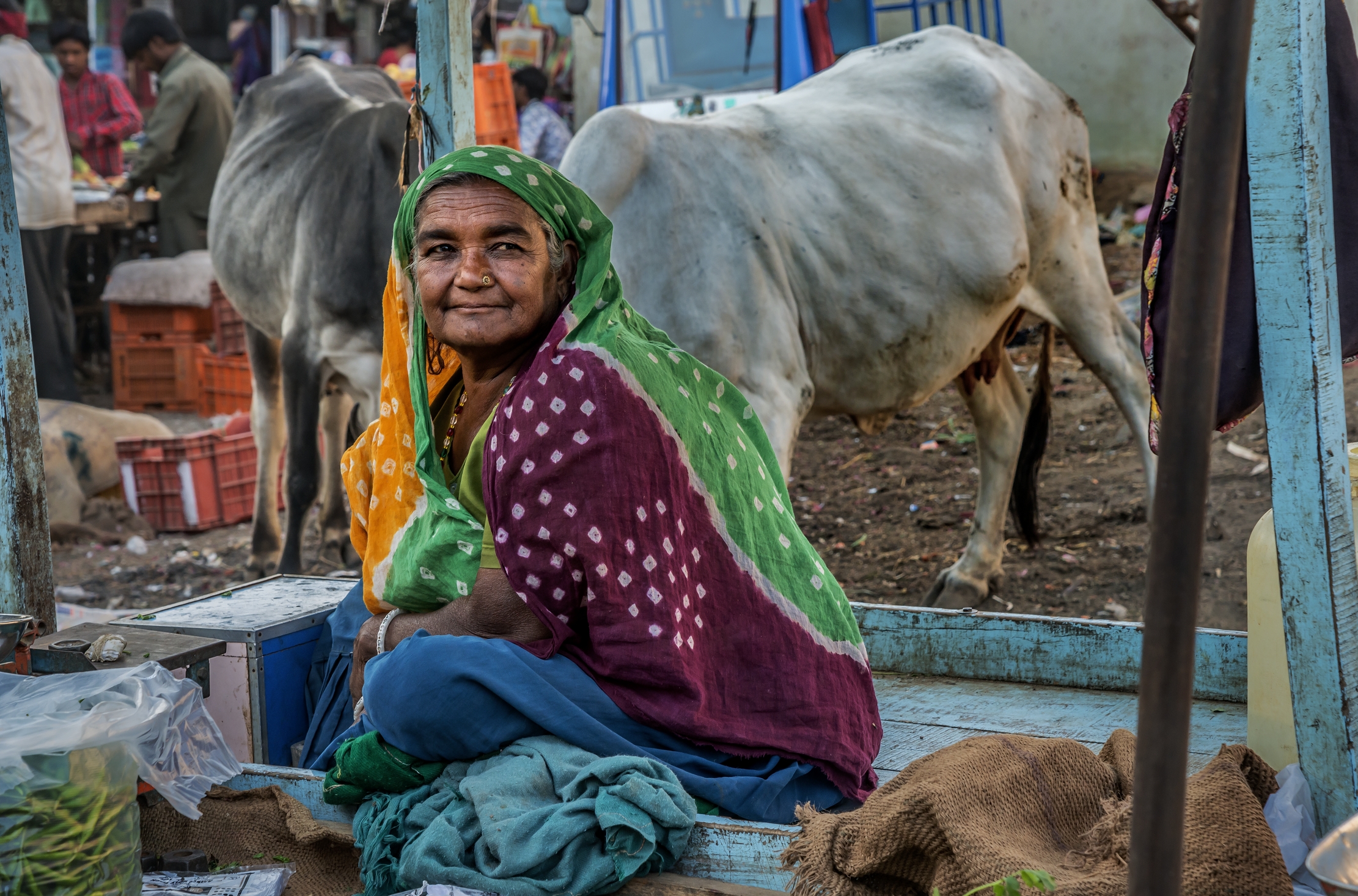 Gujarat 2015 - In un mercato