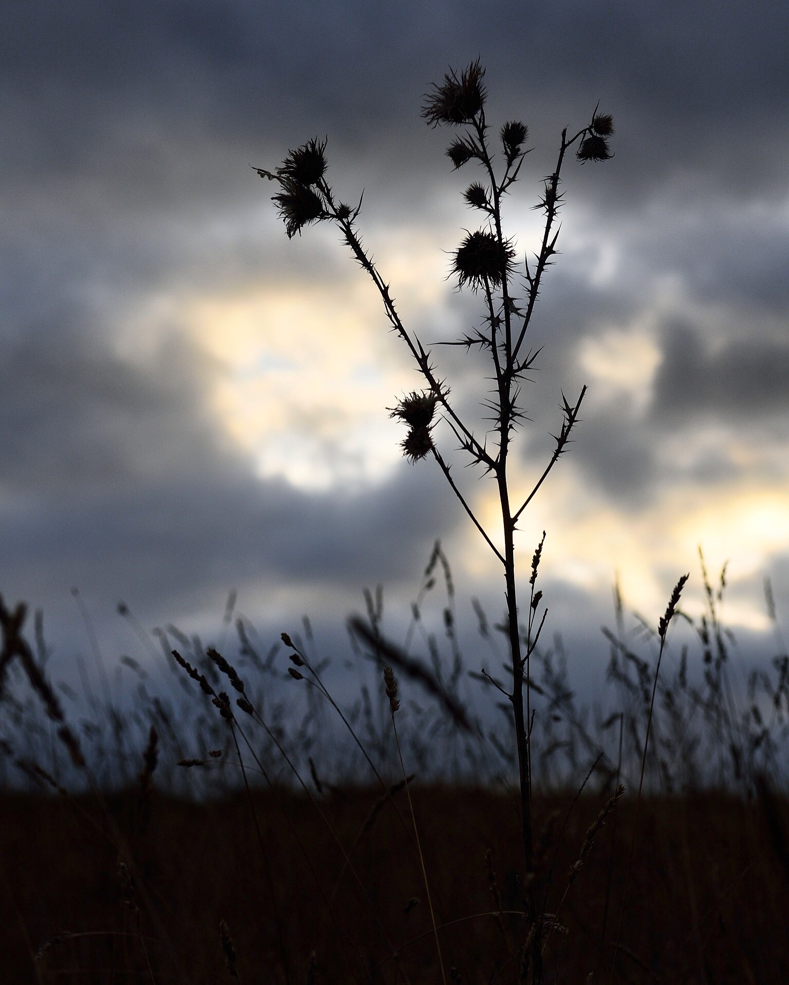 Last glimmers of light