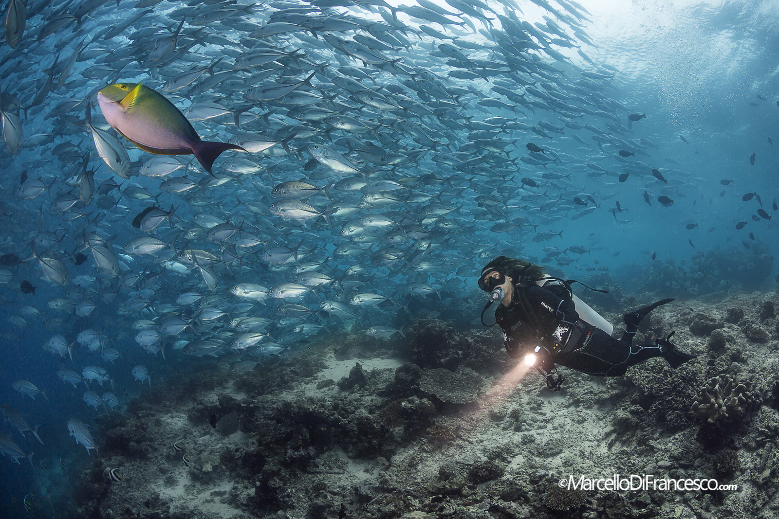 How deep is your Love ?