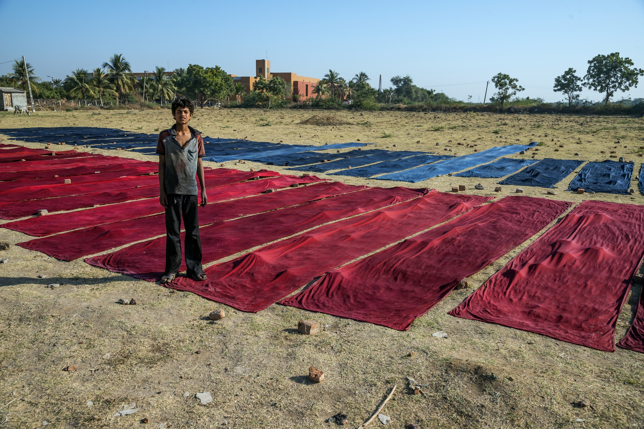 Gujarat 2015 - In una tintoria tessile