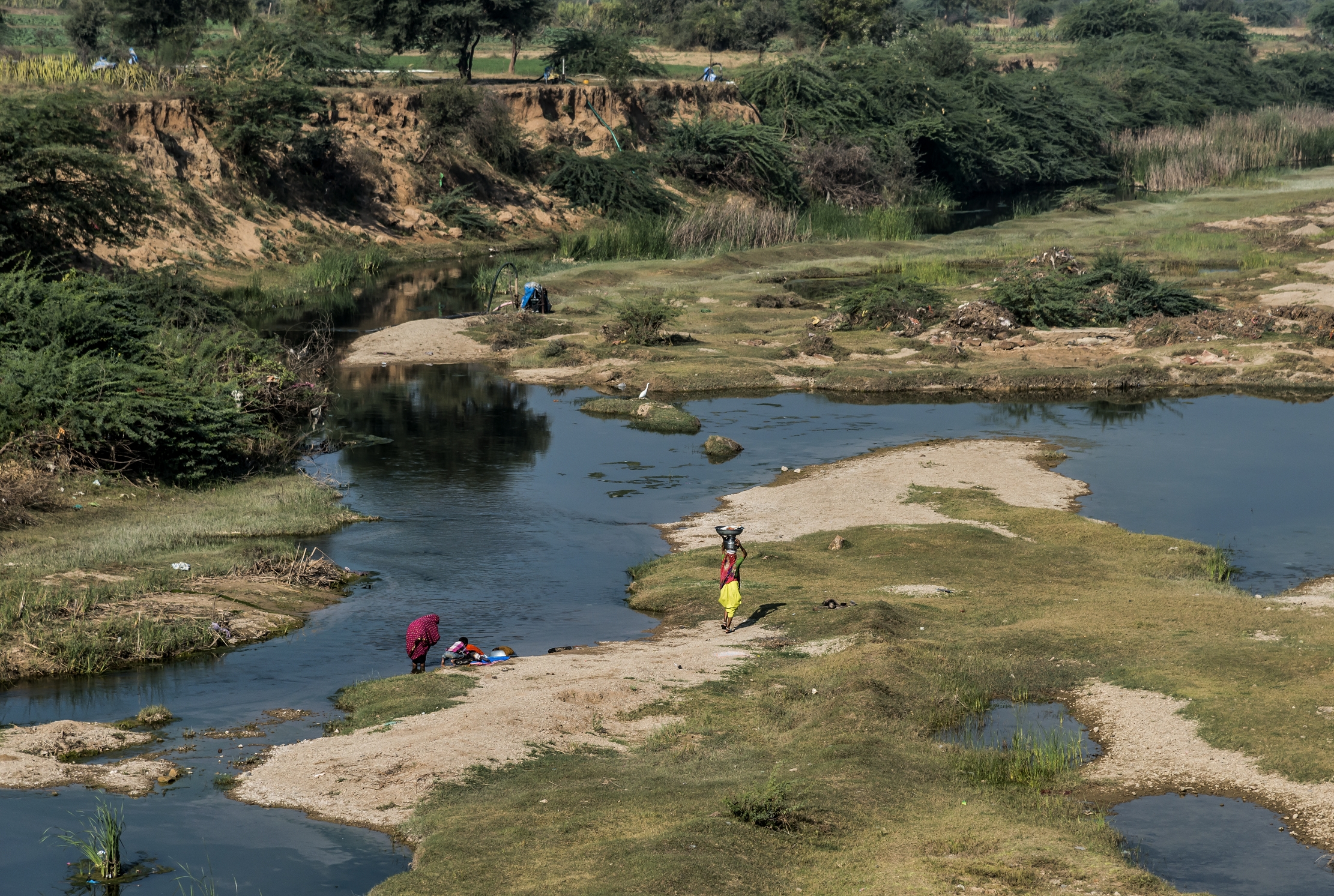 Gujarat 2015 - In un fiume