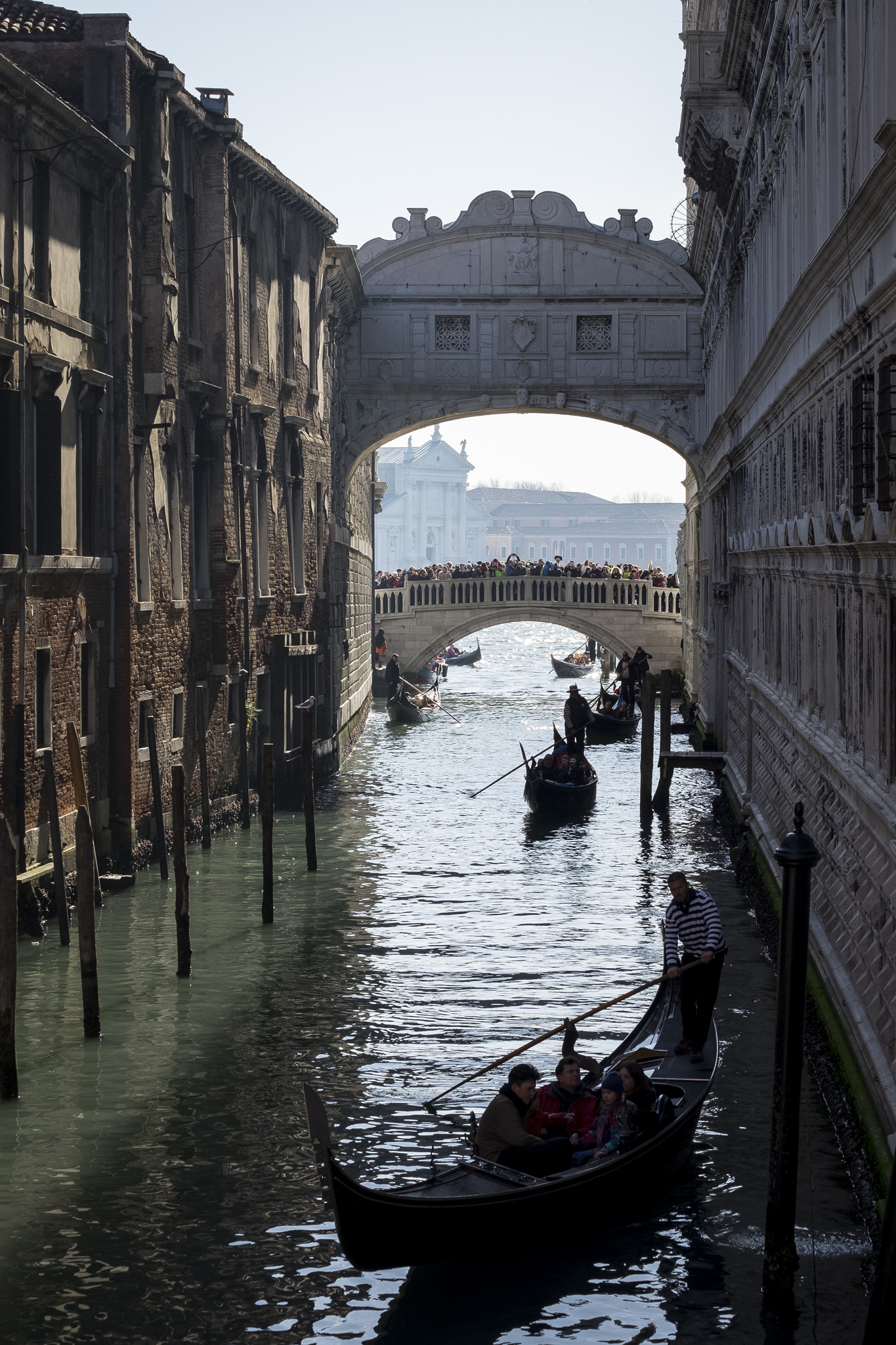 Controluce Veneziano