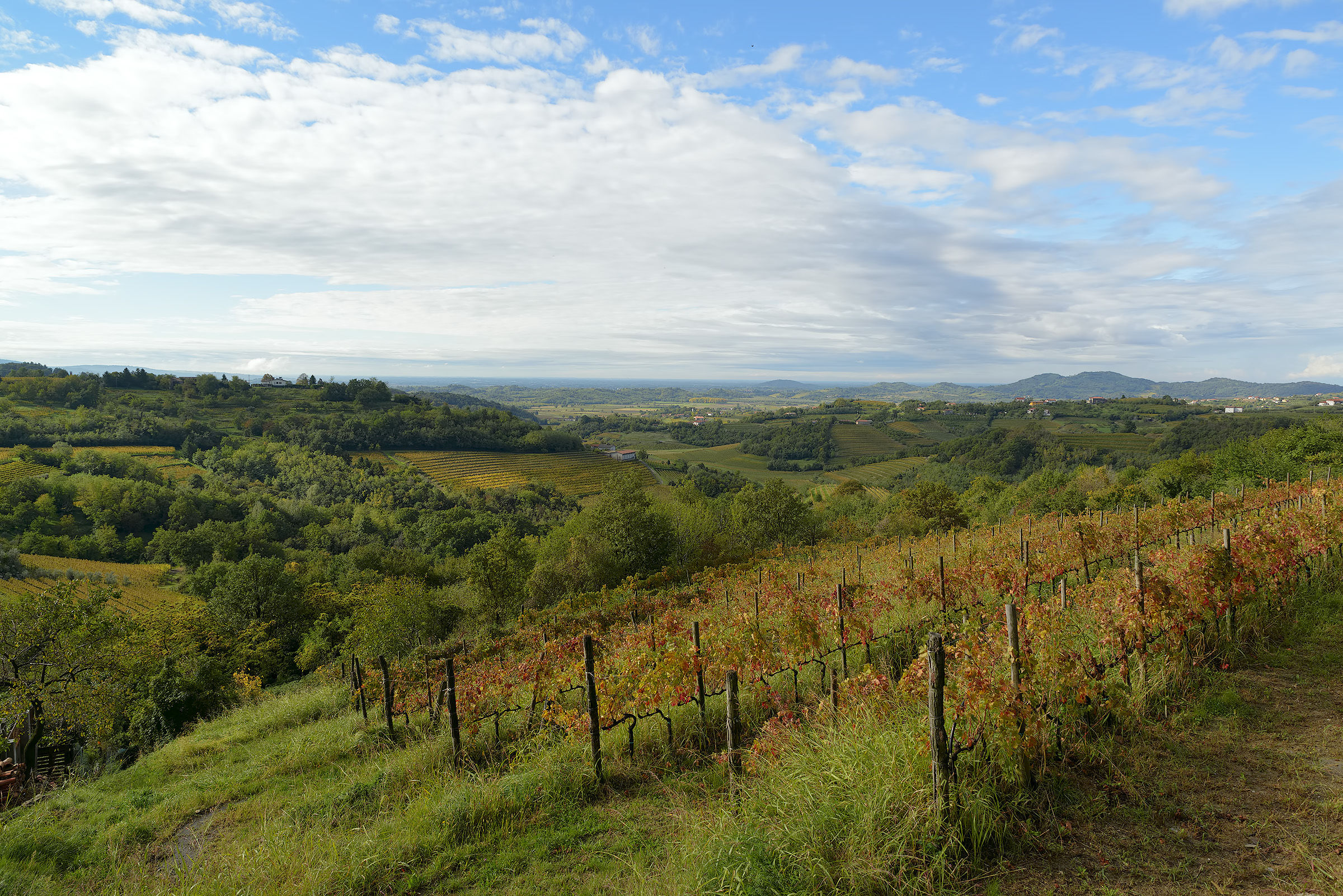 The embrace of Collio