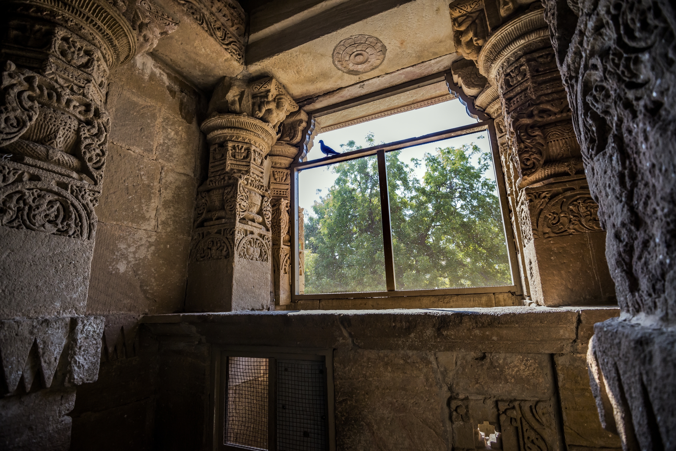 Gujarat 2015 - Tempio del sole