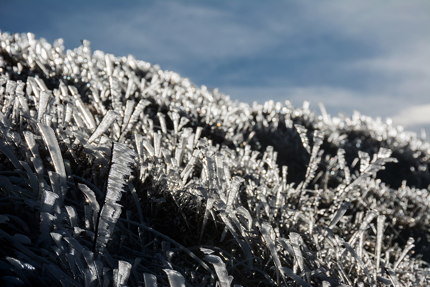 In the magical world of ice crystals
