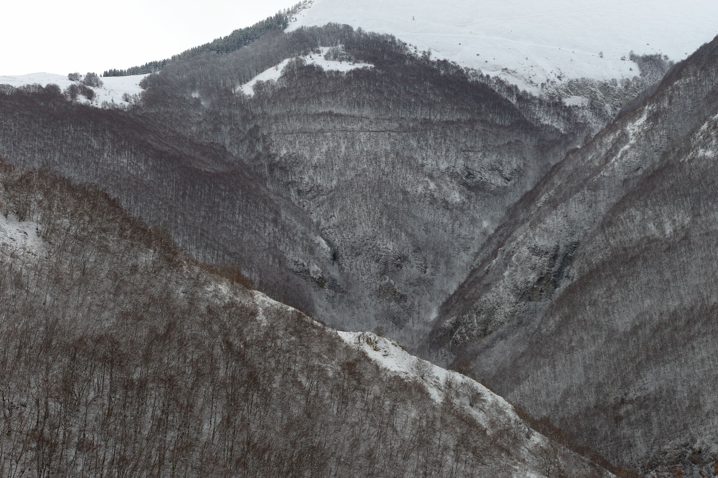 abstract forms, free imagination