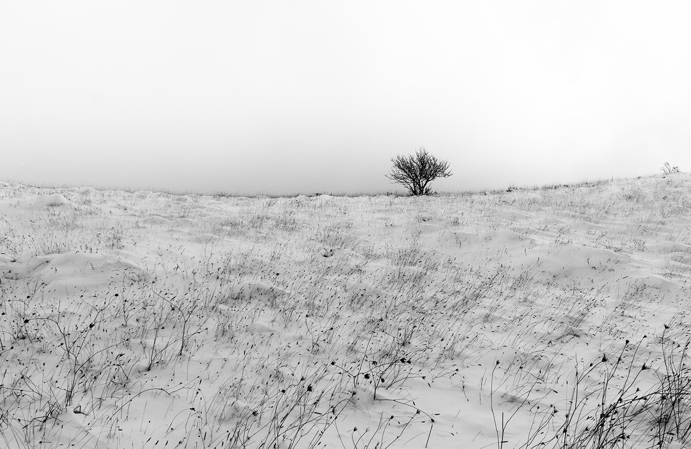 Fonte capo la maina, Abruzzo, 2014