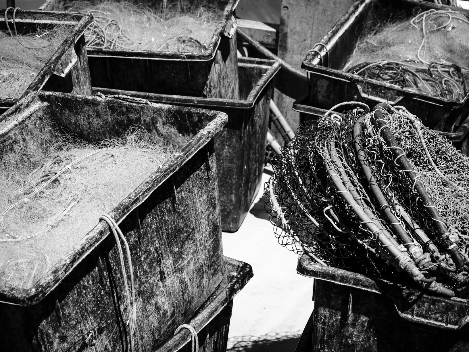 A ride to the pier # 14