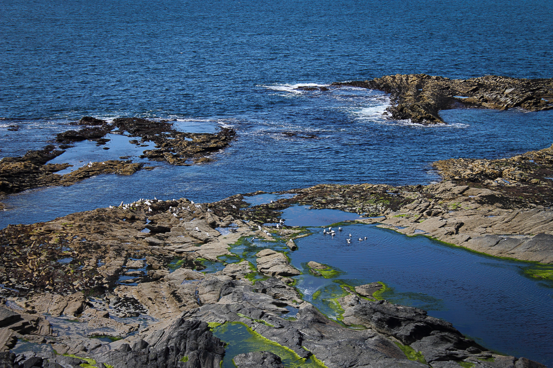 Scogliera vicino Doolin. Irlanda.