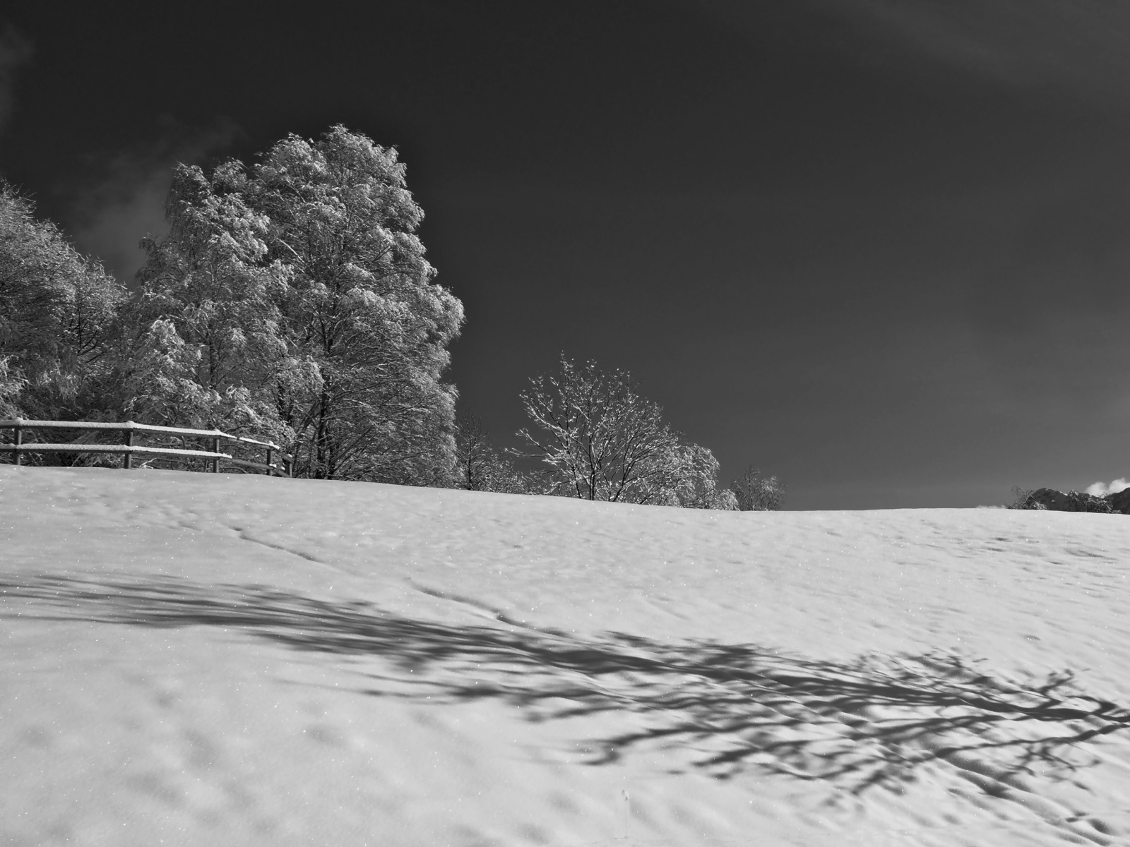 shadow of a 1/2 day on the snow