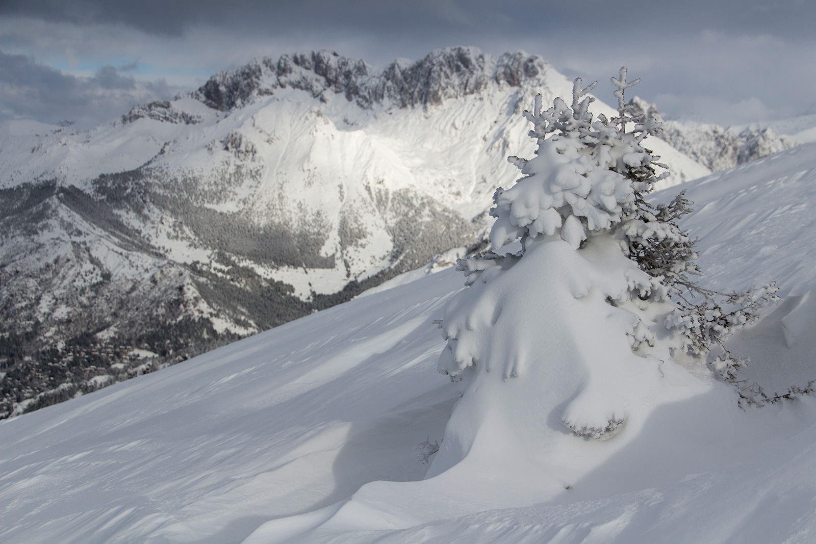 finally neveeeee !!!!