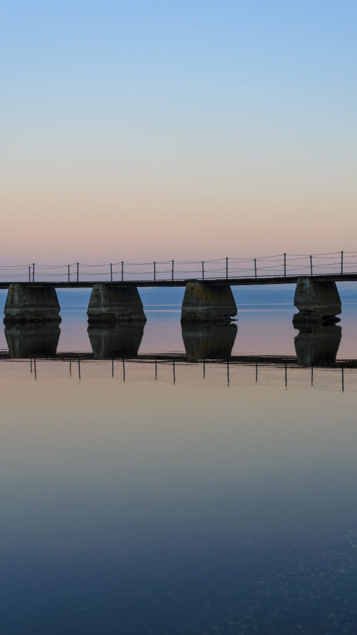 Details at sunset on Lake Bracciano