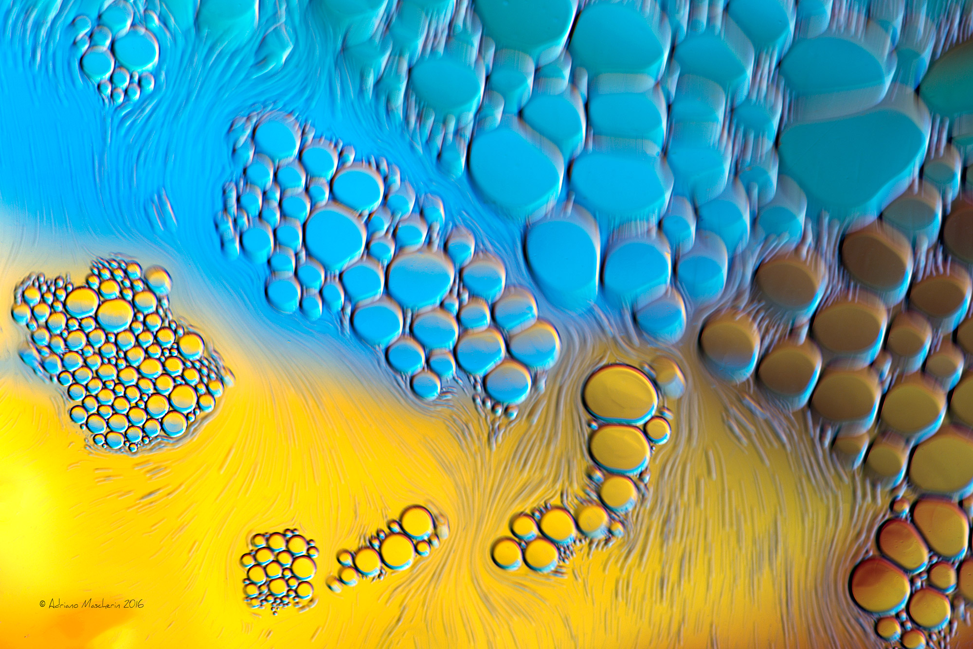 Bolle in movimento...