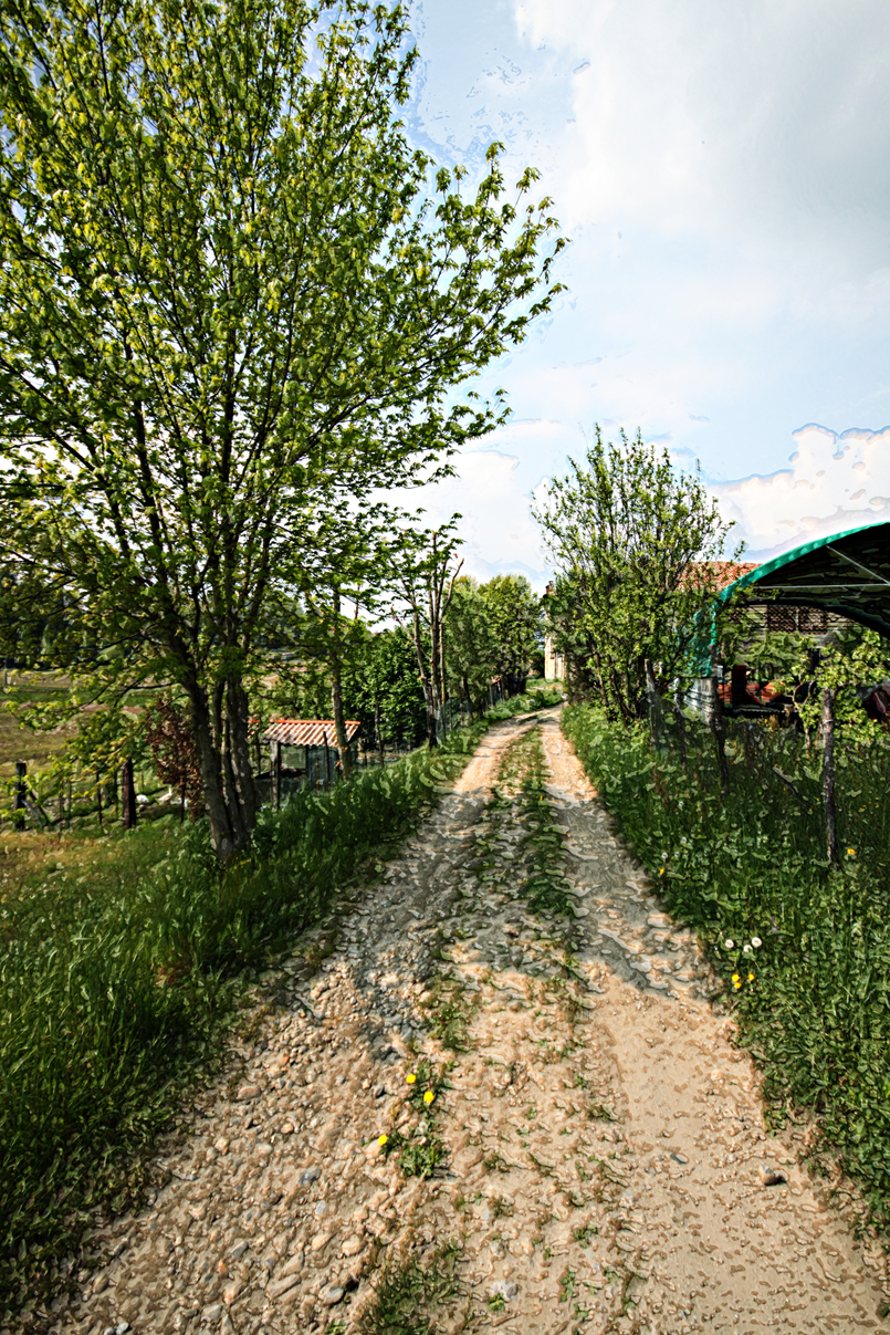 Verso la Cascina