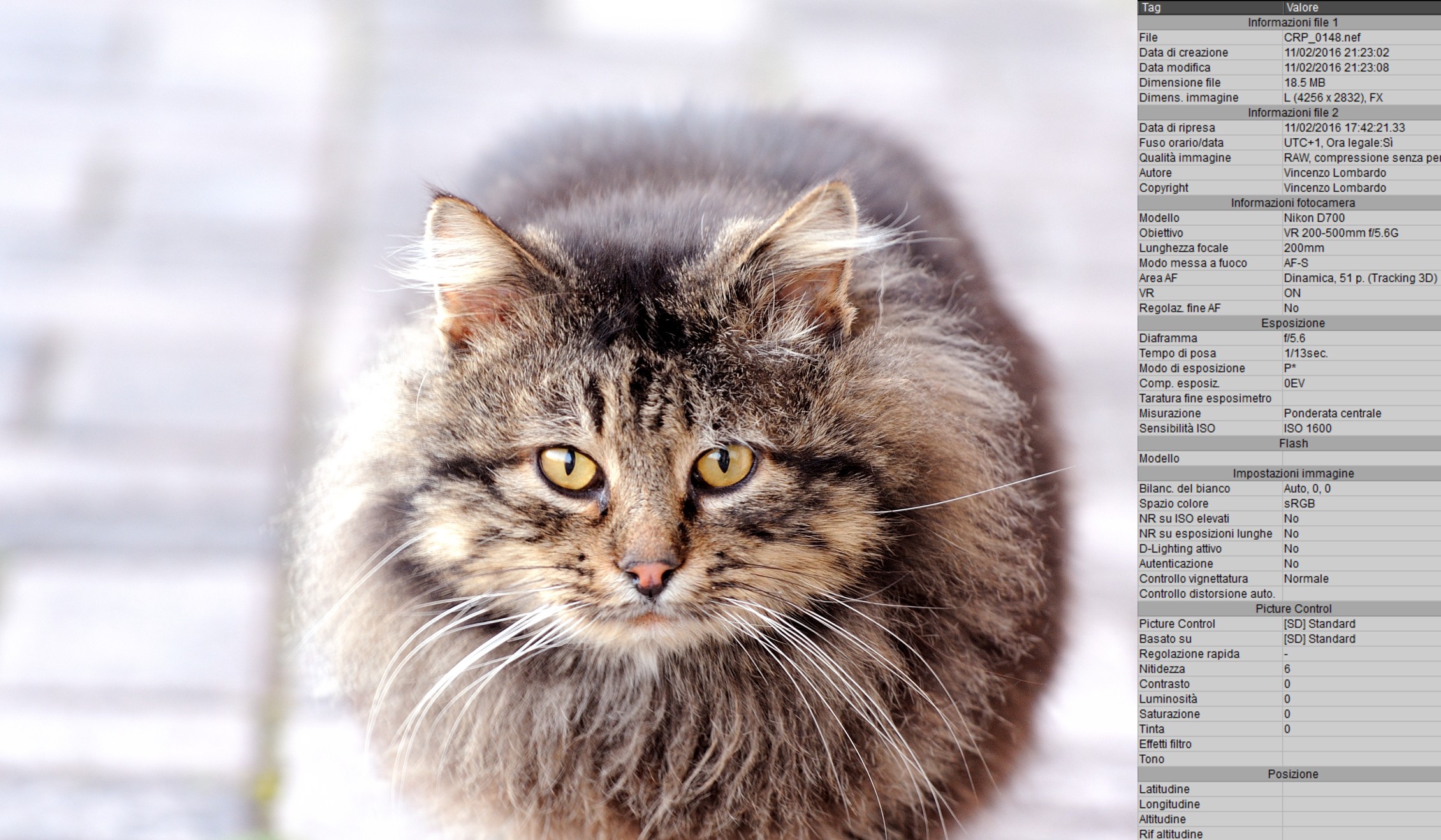 Randy makes me 'as a model, x evidence of the new Nikon