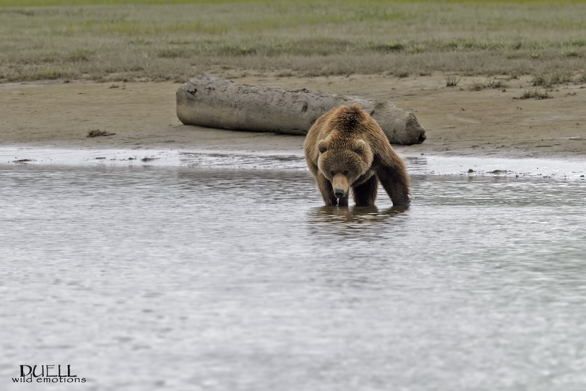 Katmai National Park & ??Preserve