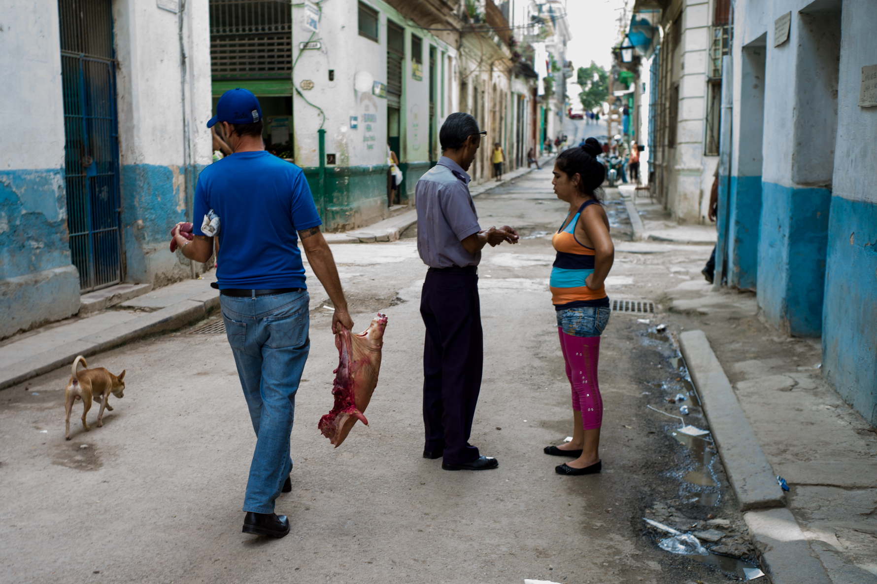 The man with the pig, Havana 2015