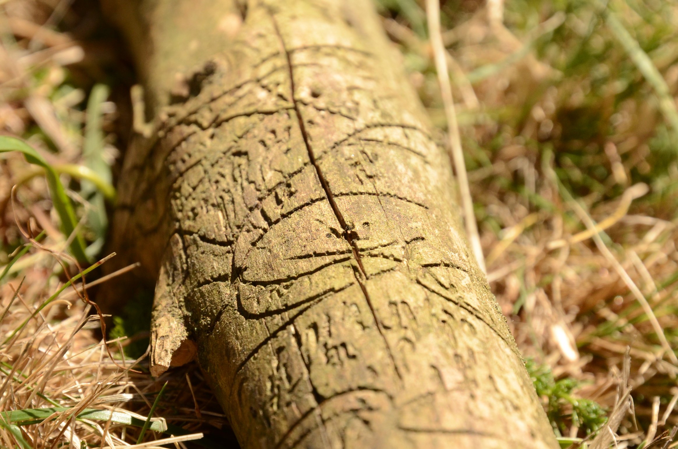 Writtings from outer space!