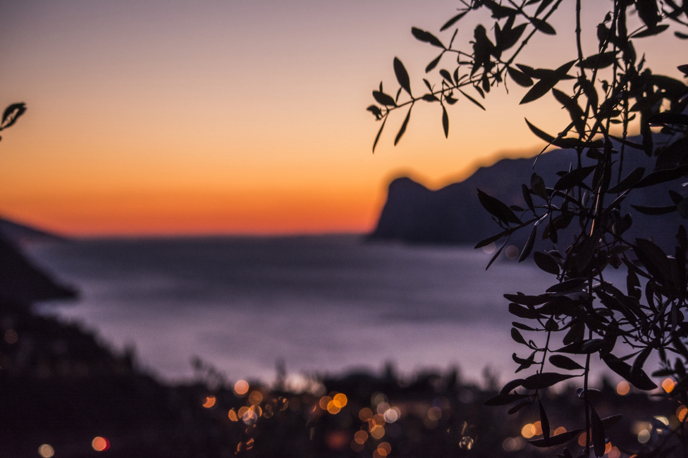 Sunset through the leaves