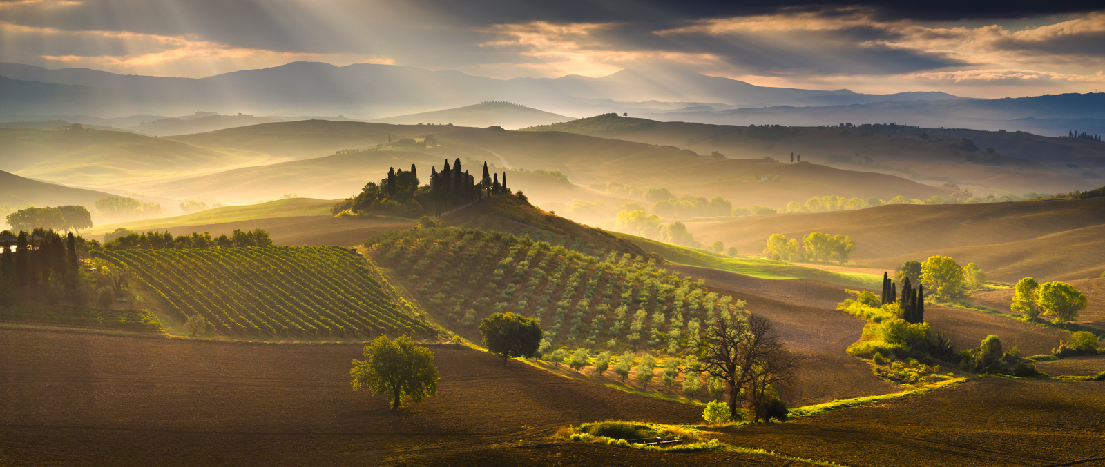 Orcia sogno