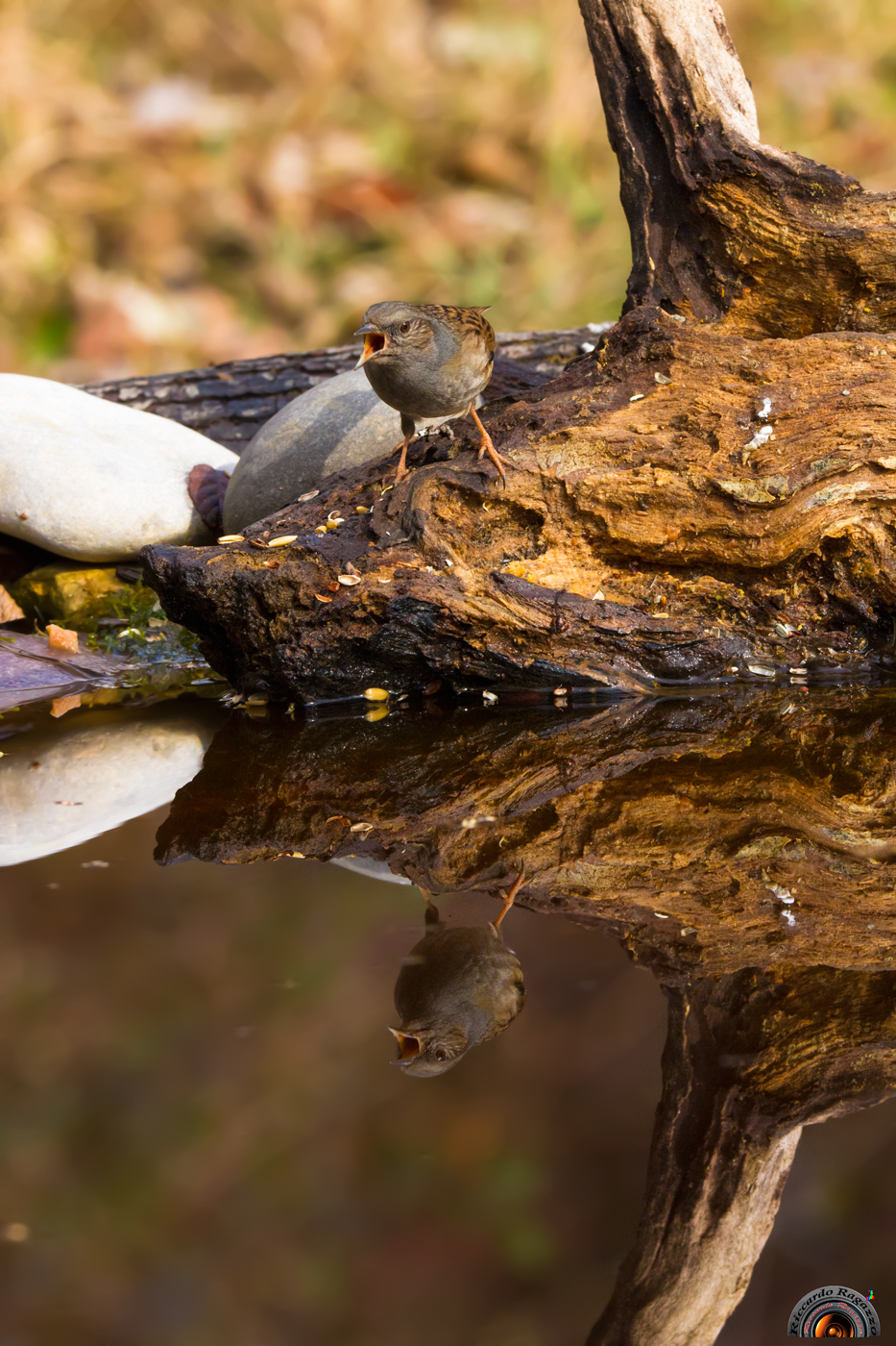 hei !! What do you want?!?!