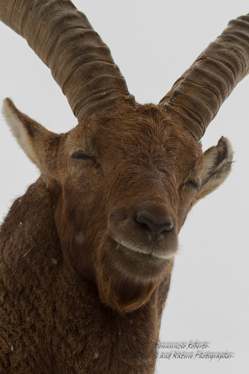 Felici e contenti...