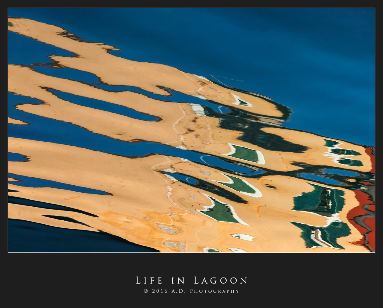 Life in the Lagoon