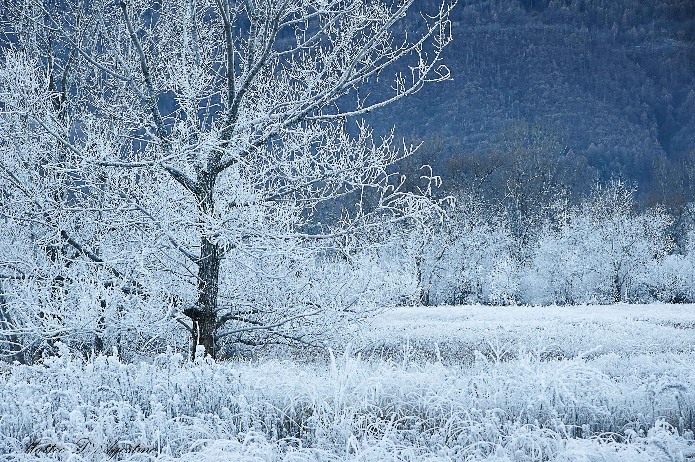 Galaverna a Les Iles