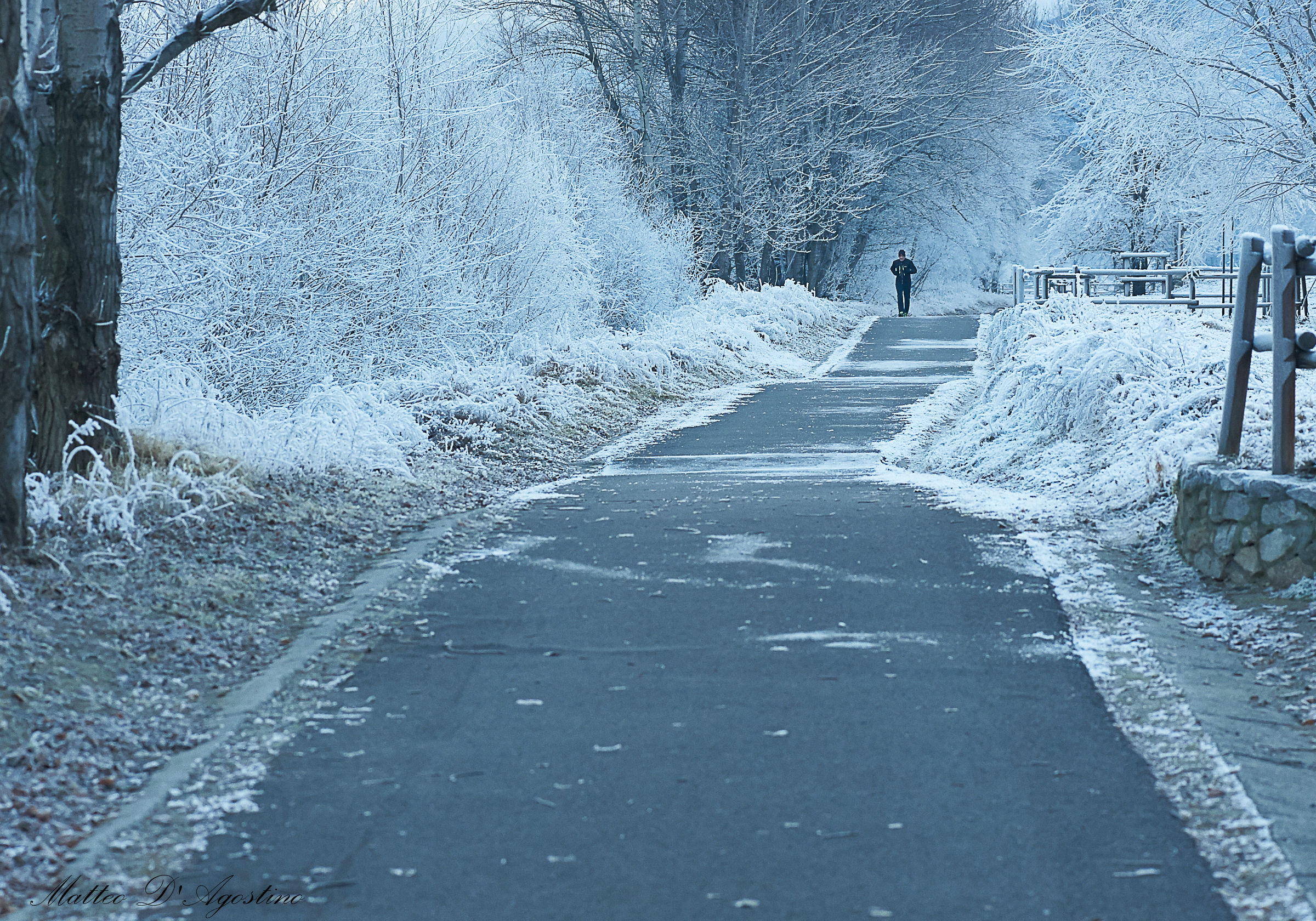 Di corsa nella galaverna