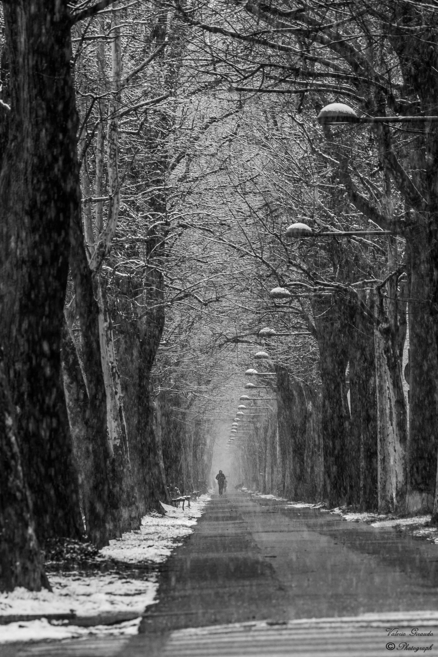 Viale Degli Angeli (Cuneo)
