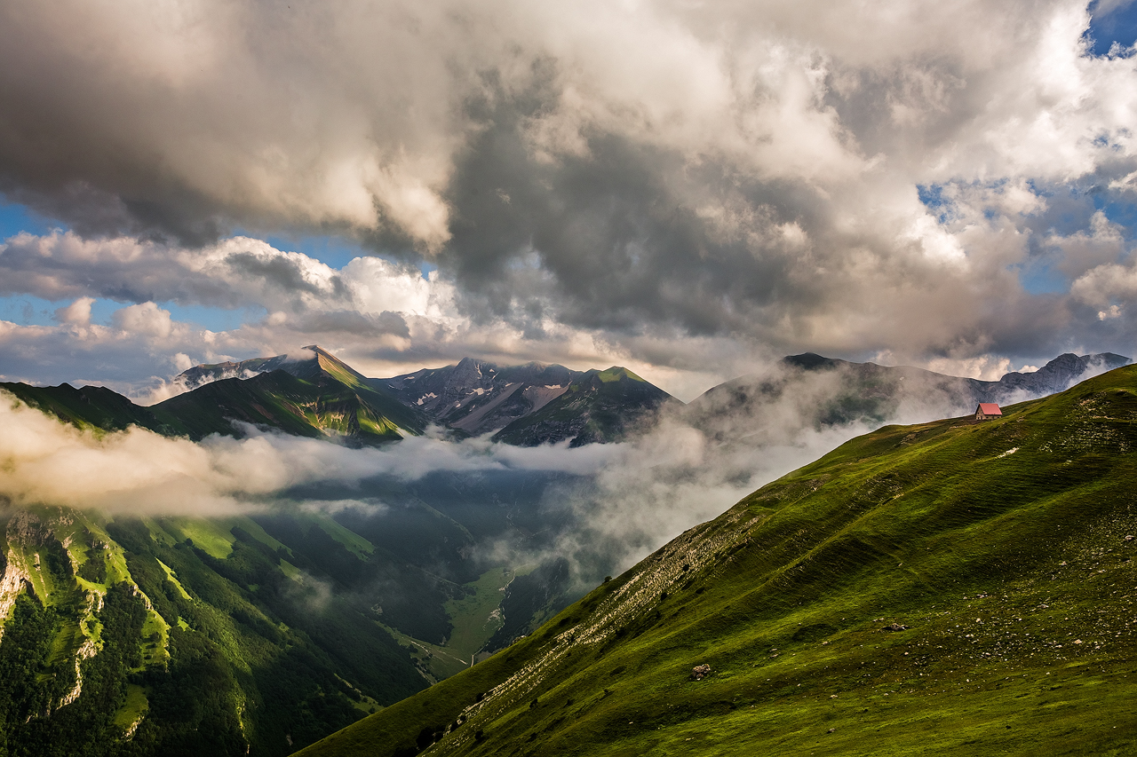 I want to stay alone