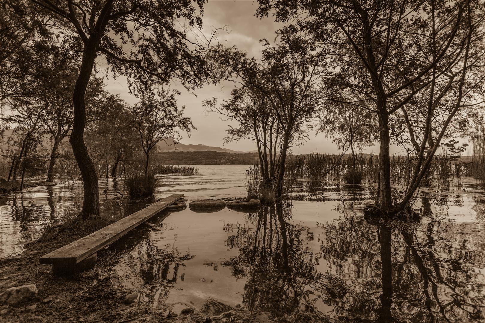 Lace Bodio Lomnago (va)