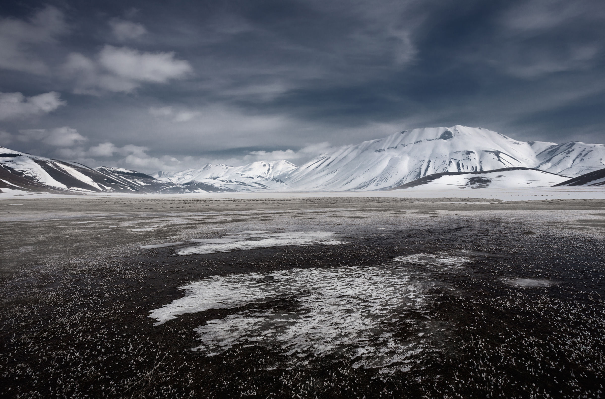 Gli antipodi... della fioritura!