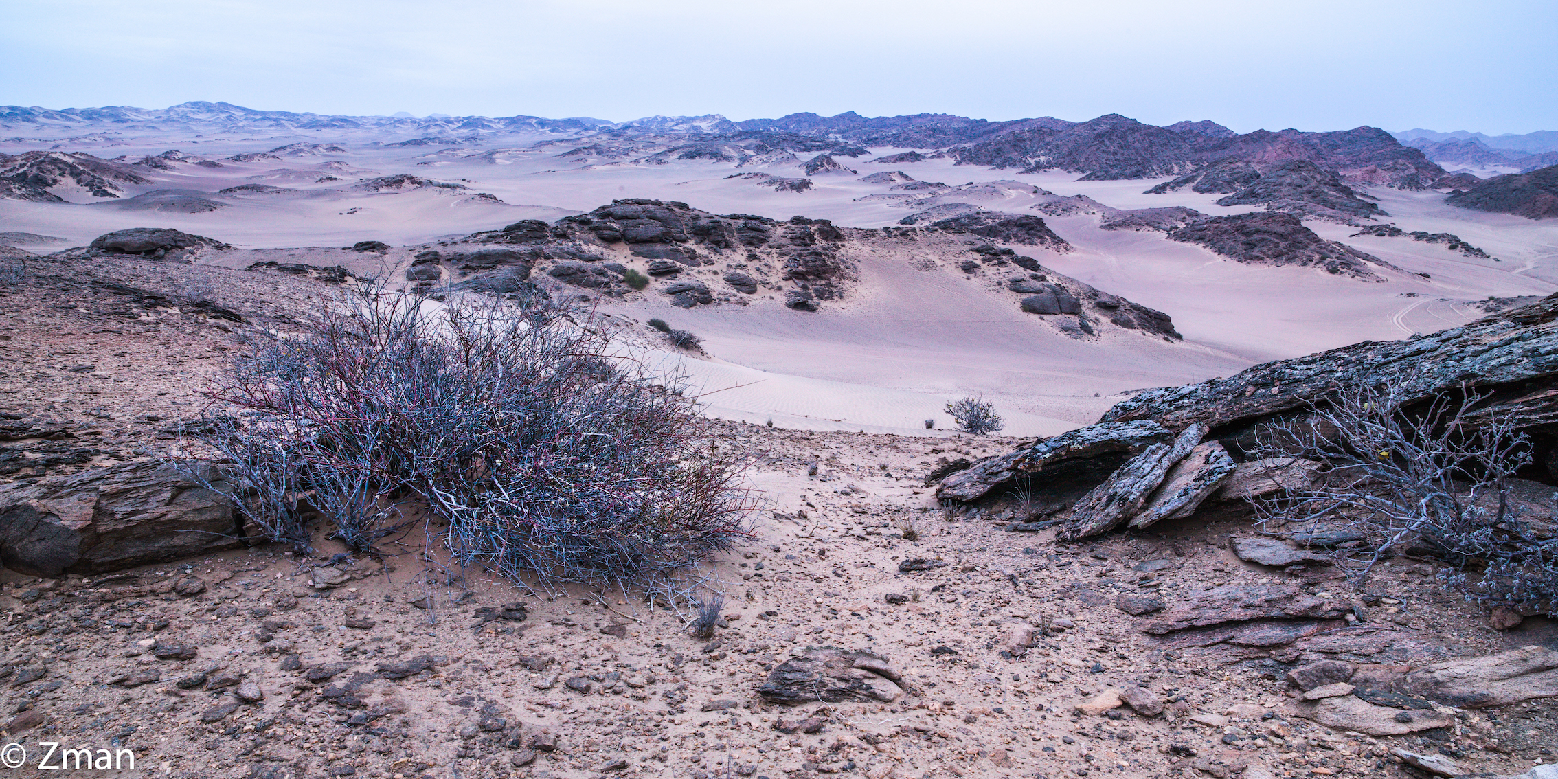Namib Desert