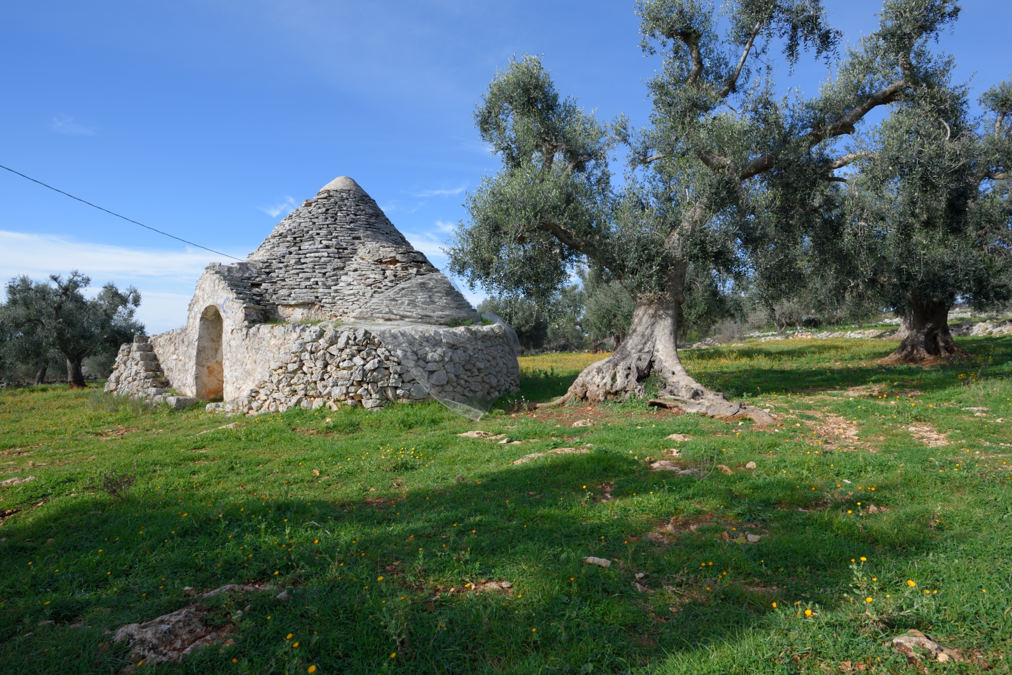 paesaggio murge puglia