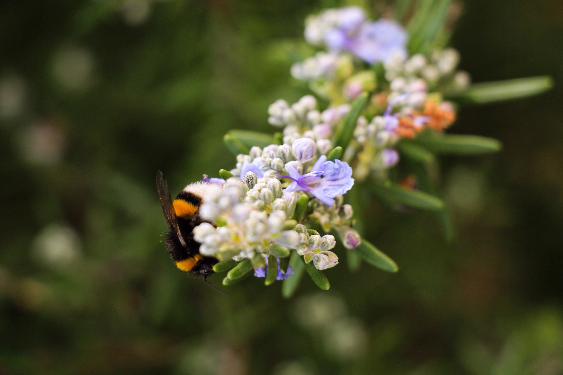 I do not know where to start 5