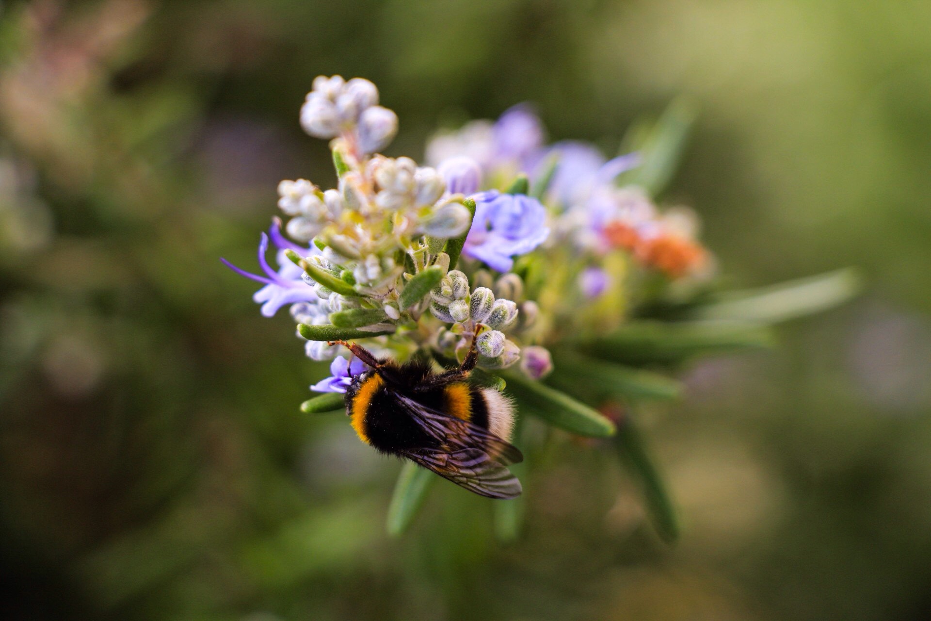 I do not know where to start first