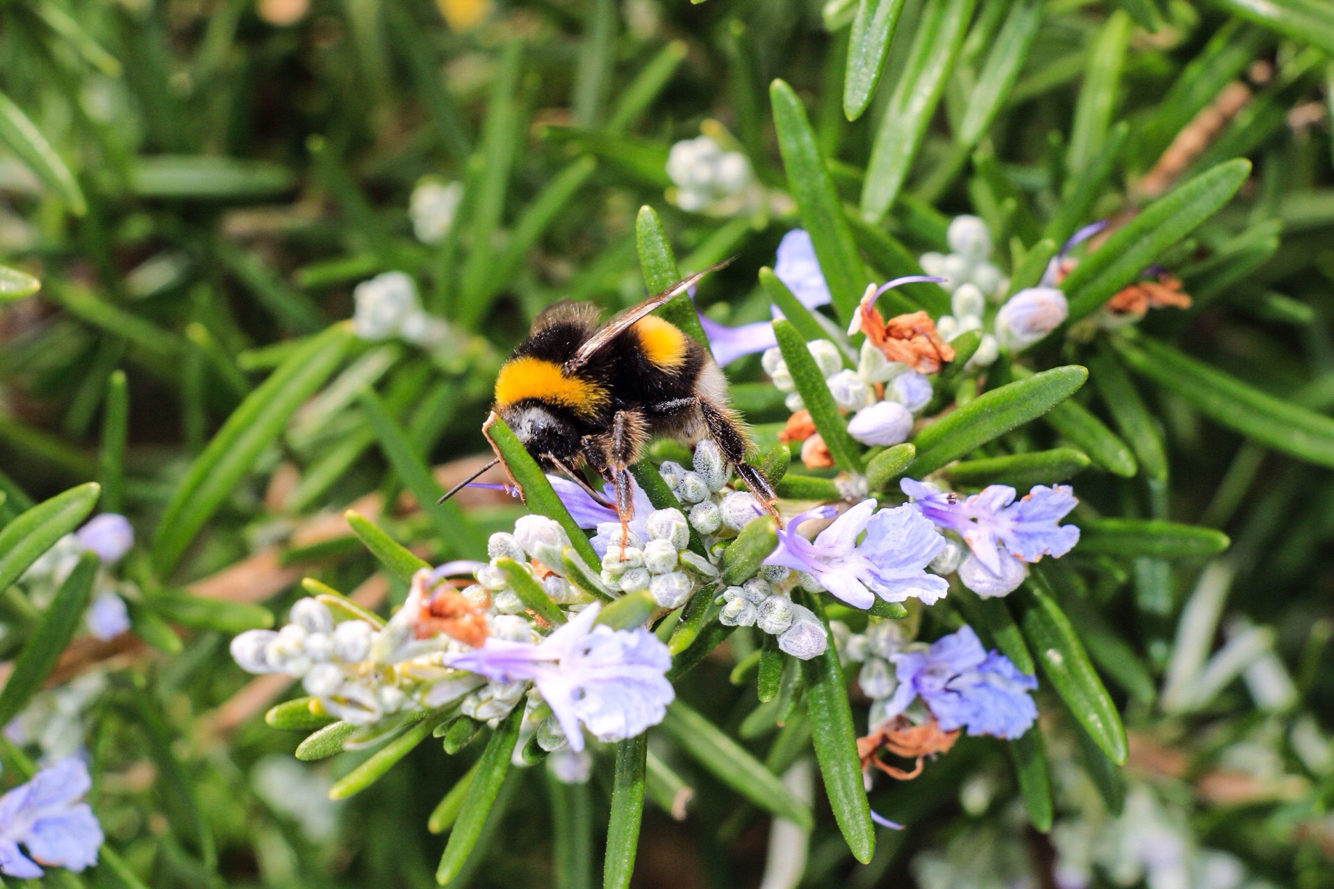 I do not know where to start 2