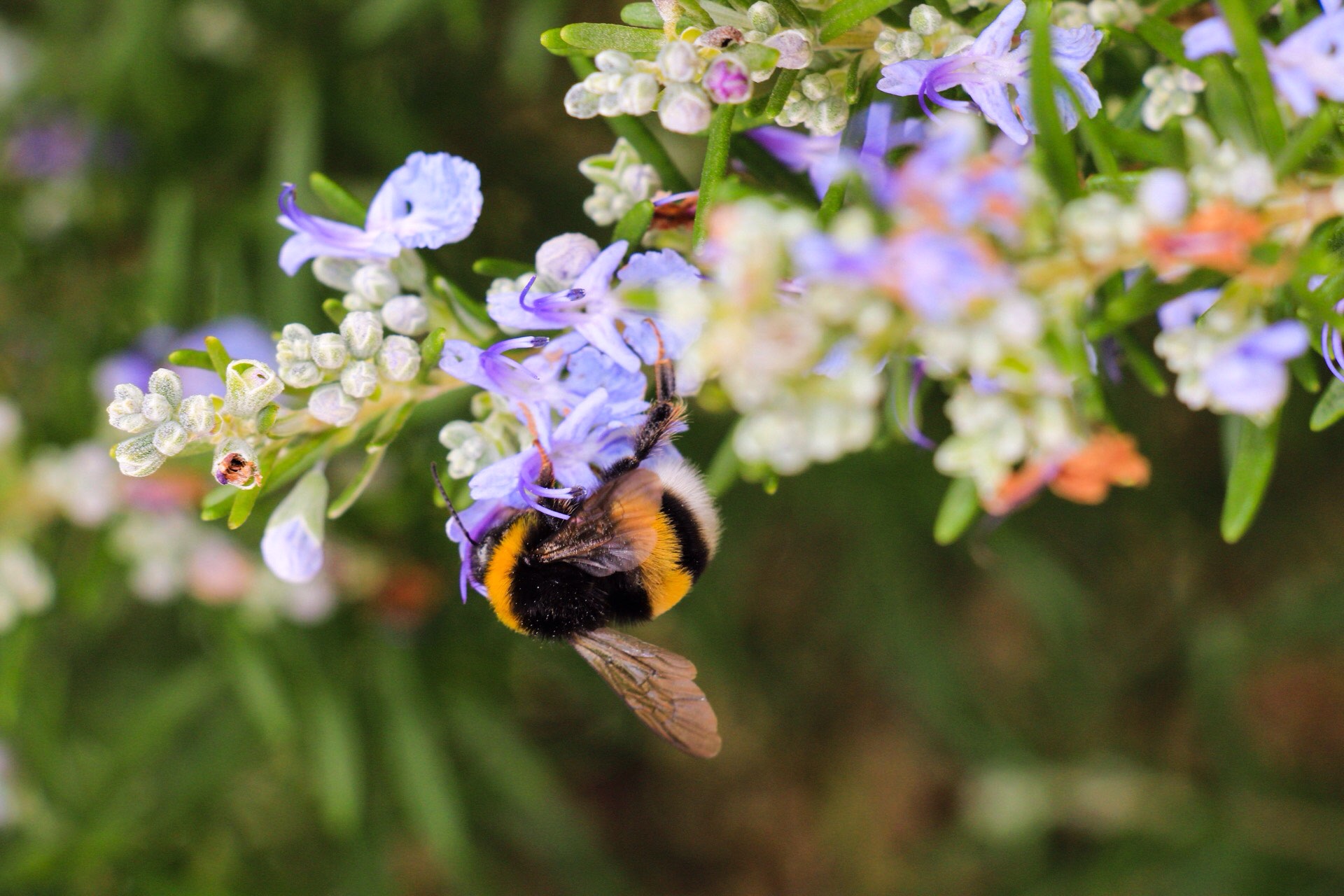 I do not know where to start 3