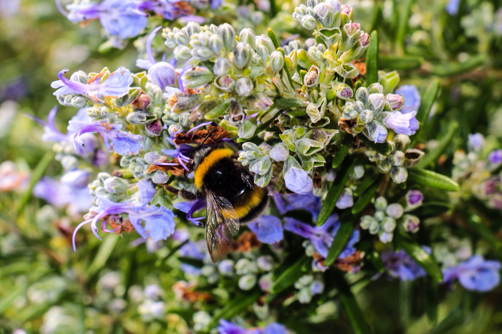 I do not know where to start 4